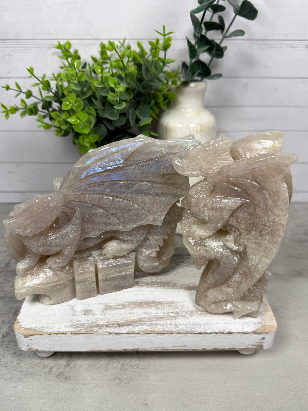 Blue Moonstone Dragons