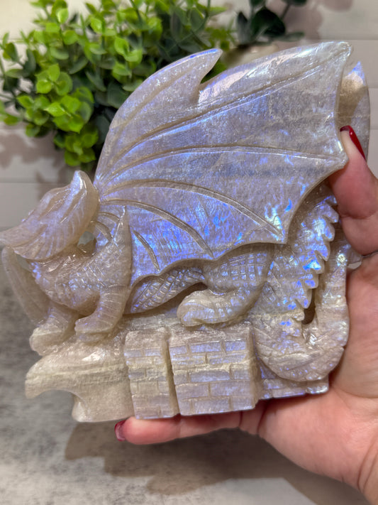 Blue Moonstone Dragons