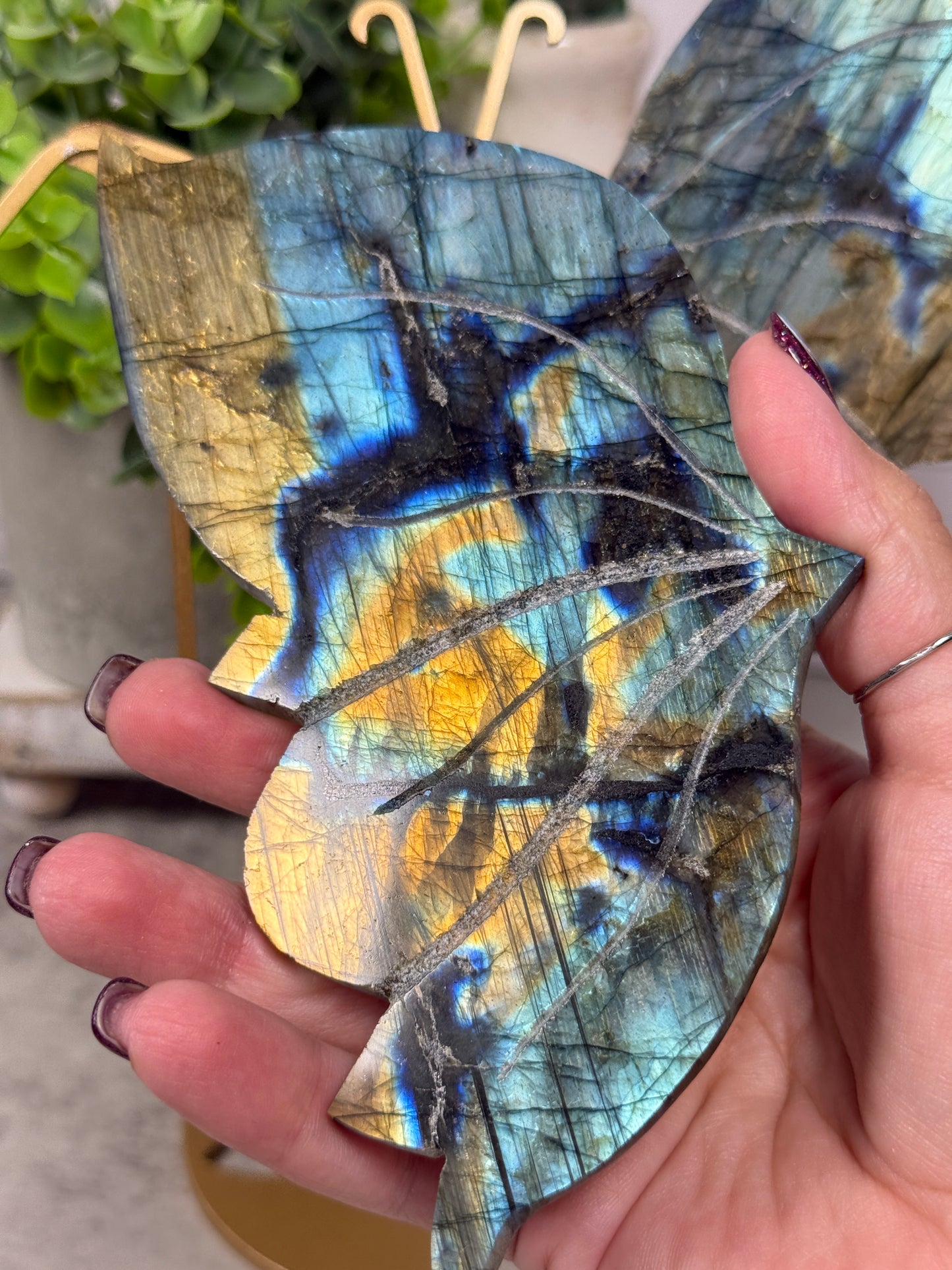 Labradorite Wings XL