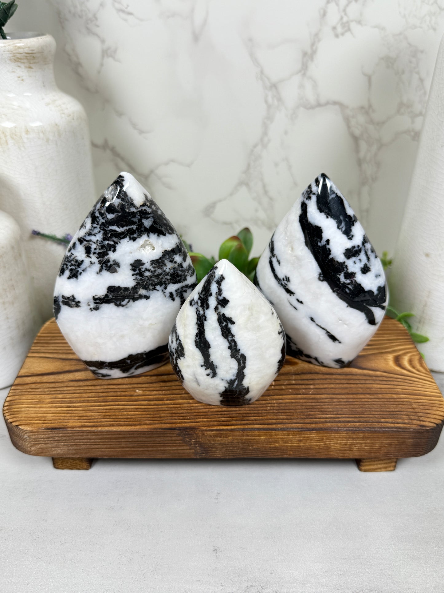 Zebra Jasper Teardrops