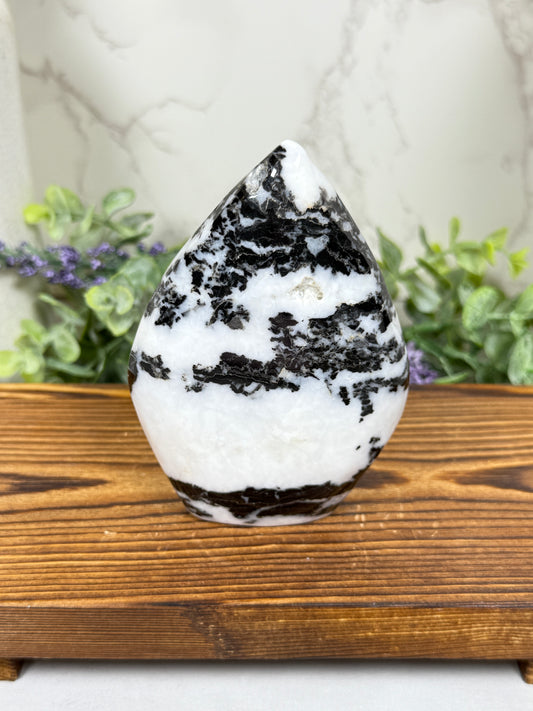 Zebra Jasper Teardrops