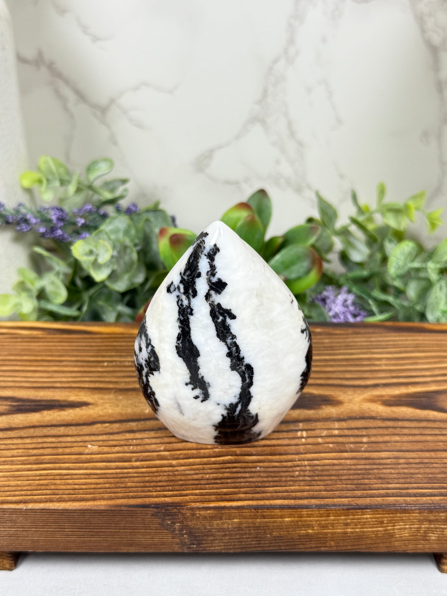 Zebra Jasper Teardrops