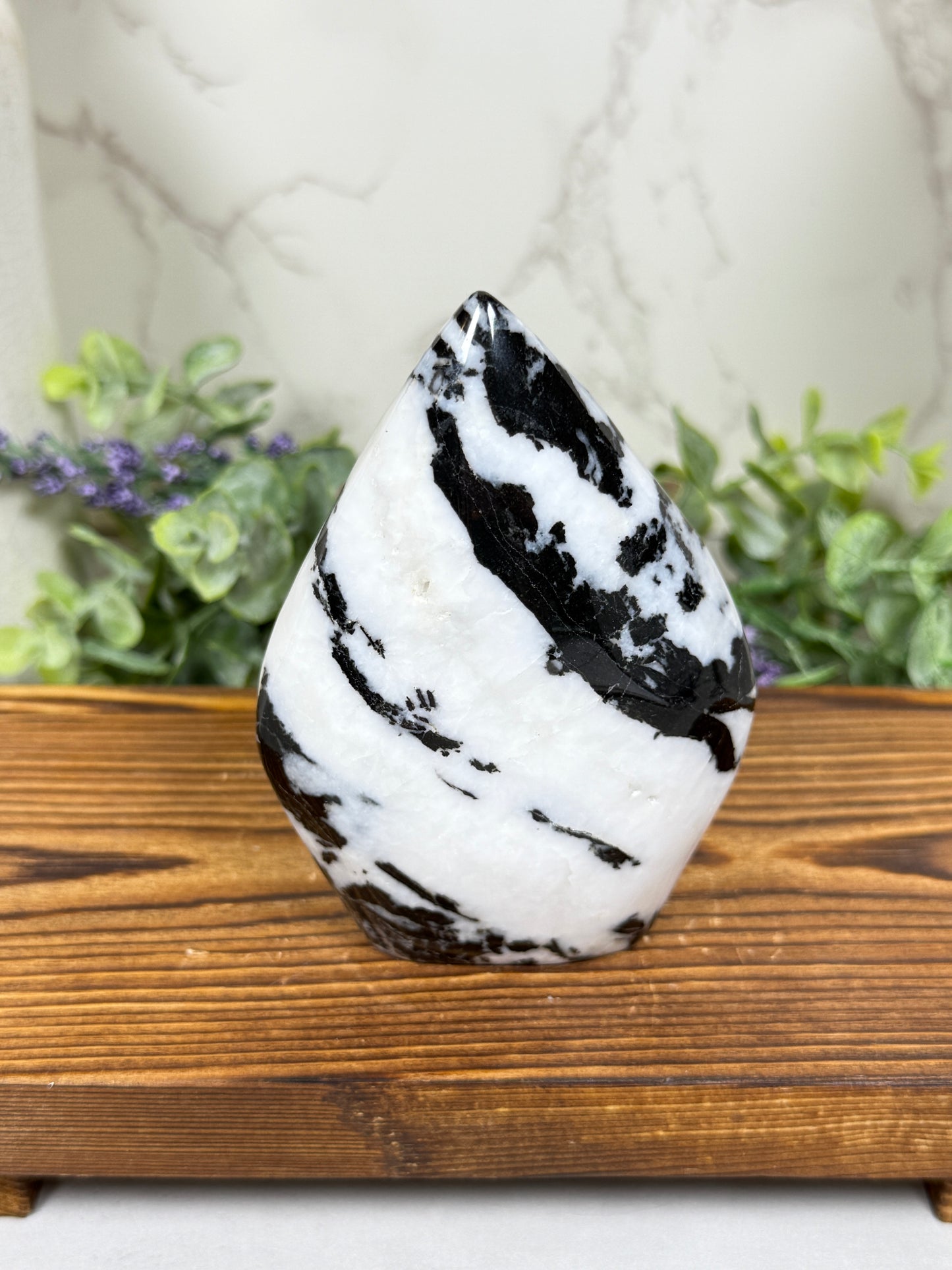 Zebra Jasper Teardrops