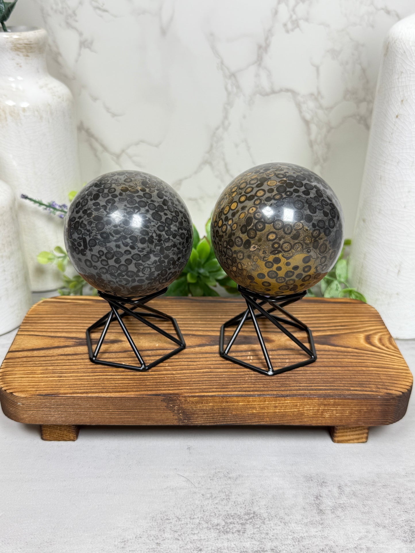 Leopard Jasper Spheres