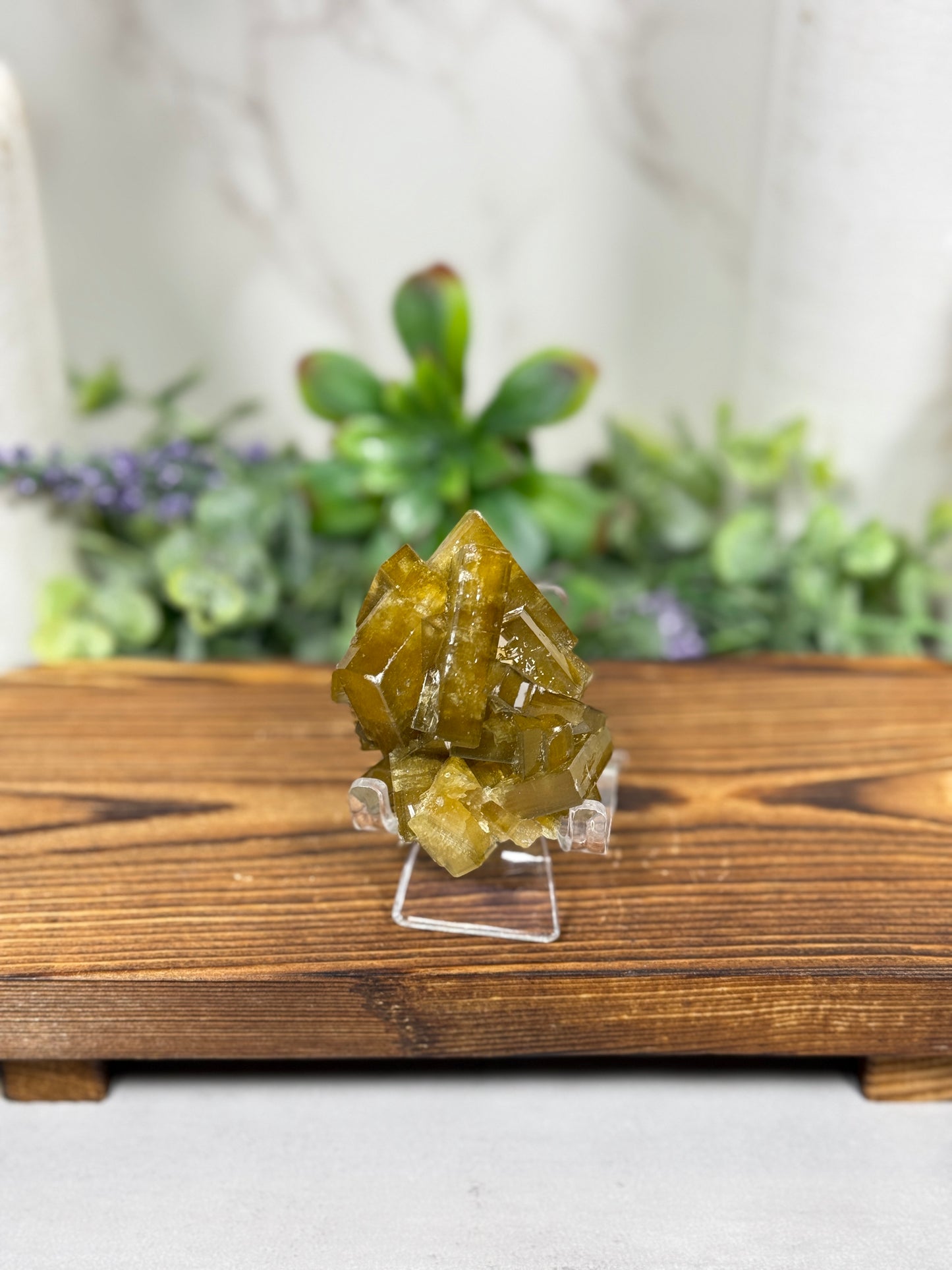 Golden Barite Specimen HQ - You Pick