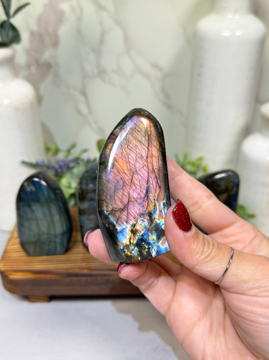 Labradorite Free Forms - A