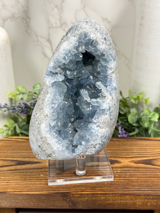 Celestite Geode - E