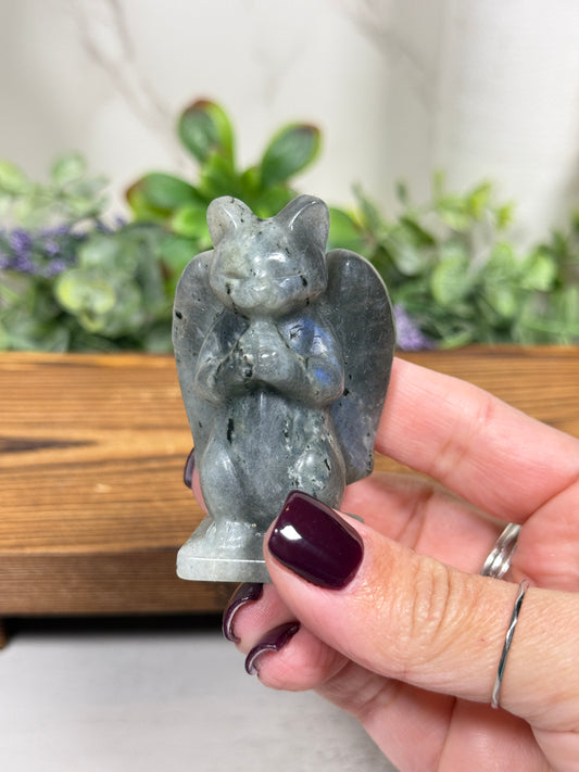 Angel Kitty - You Pick