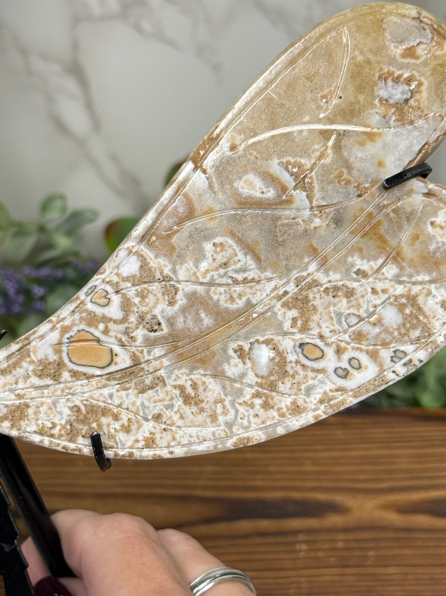 Calcite Dragonfly Wings