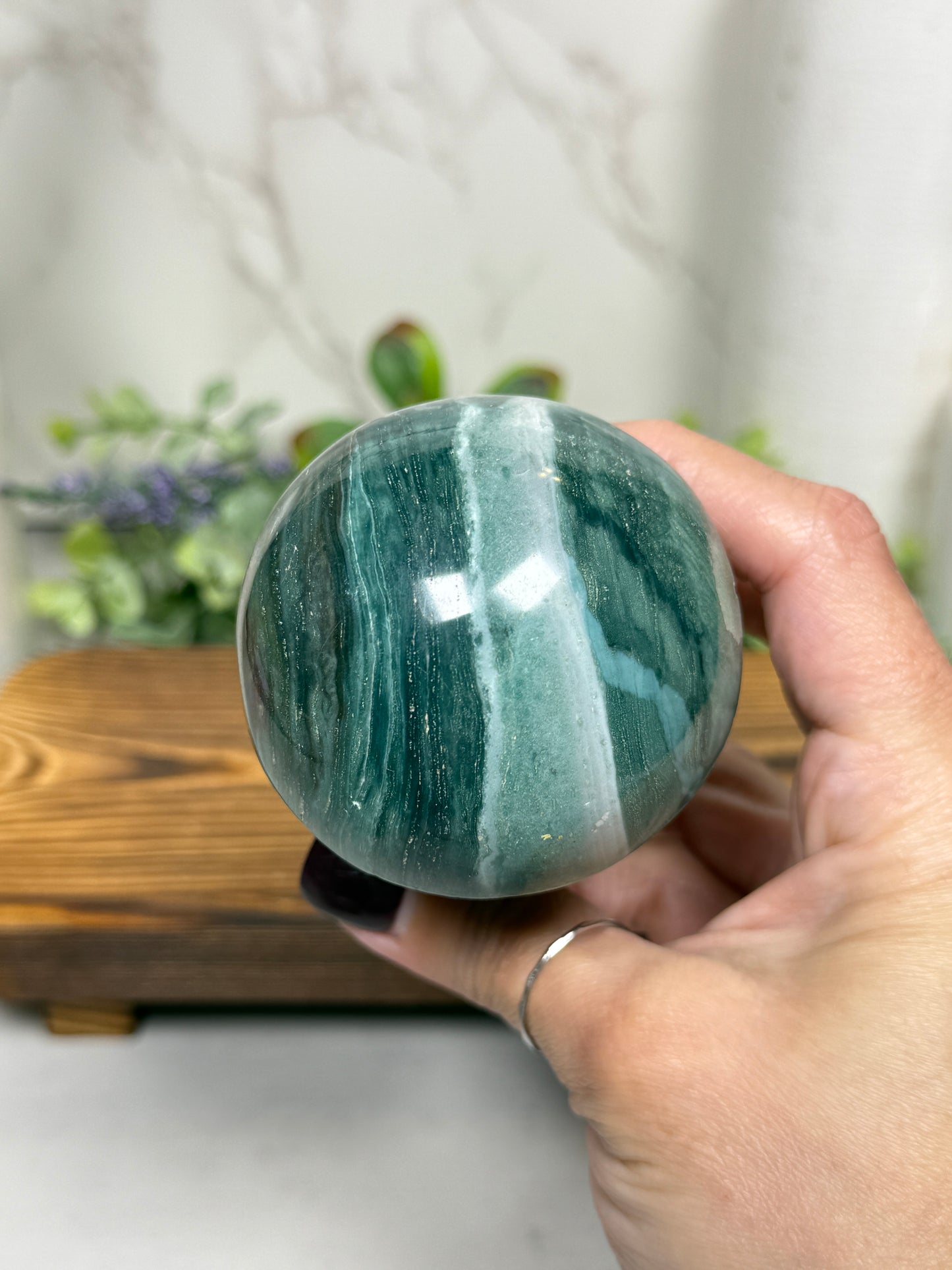 Ocean Jasper Mushrooms