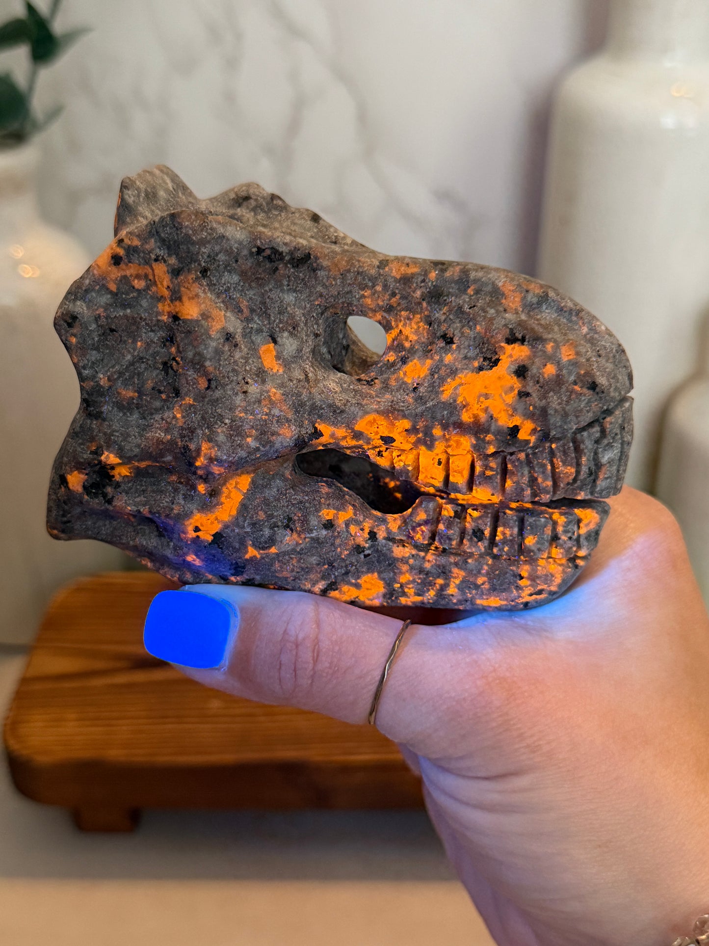 Yooperlite Dinosaur Heads