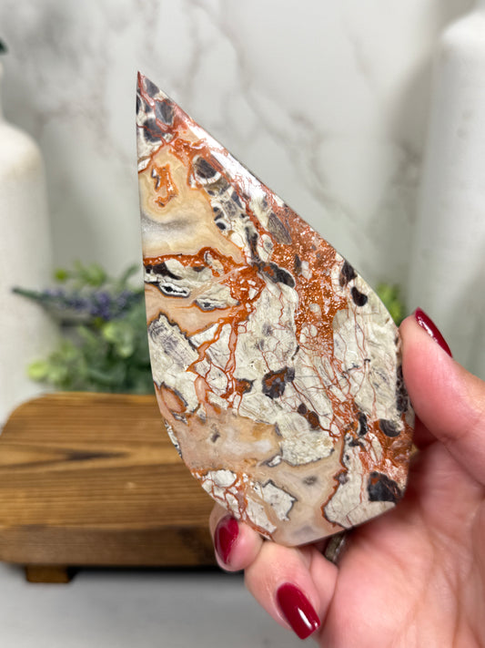 Money Agate Teardrops