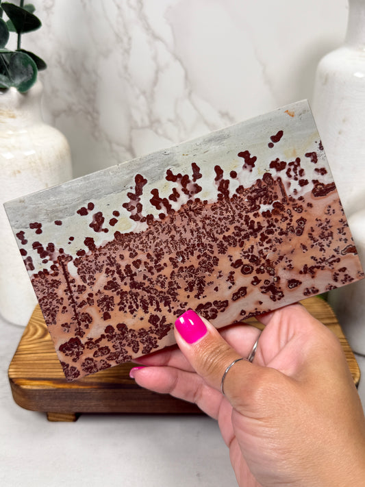 Pink Picture Jasper Slab