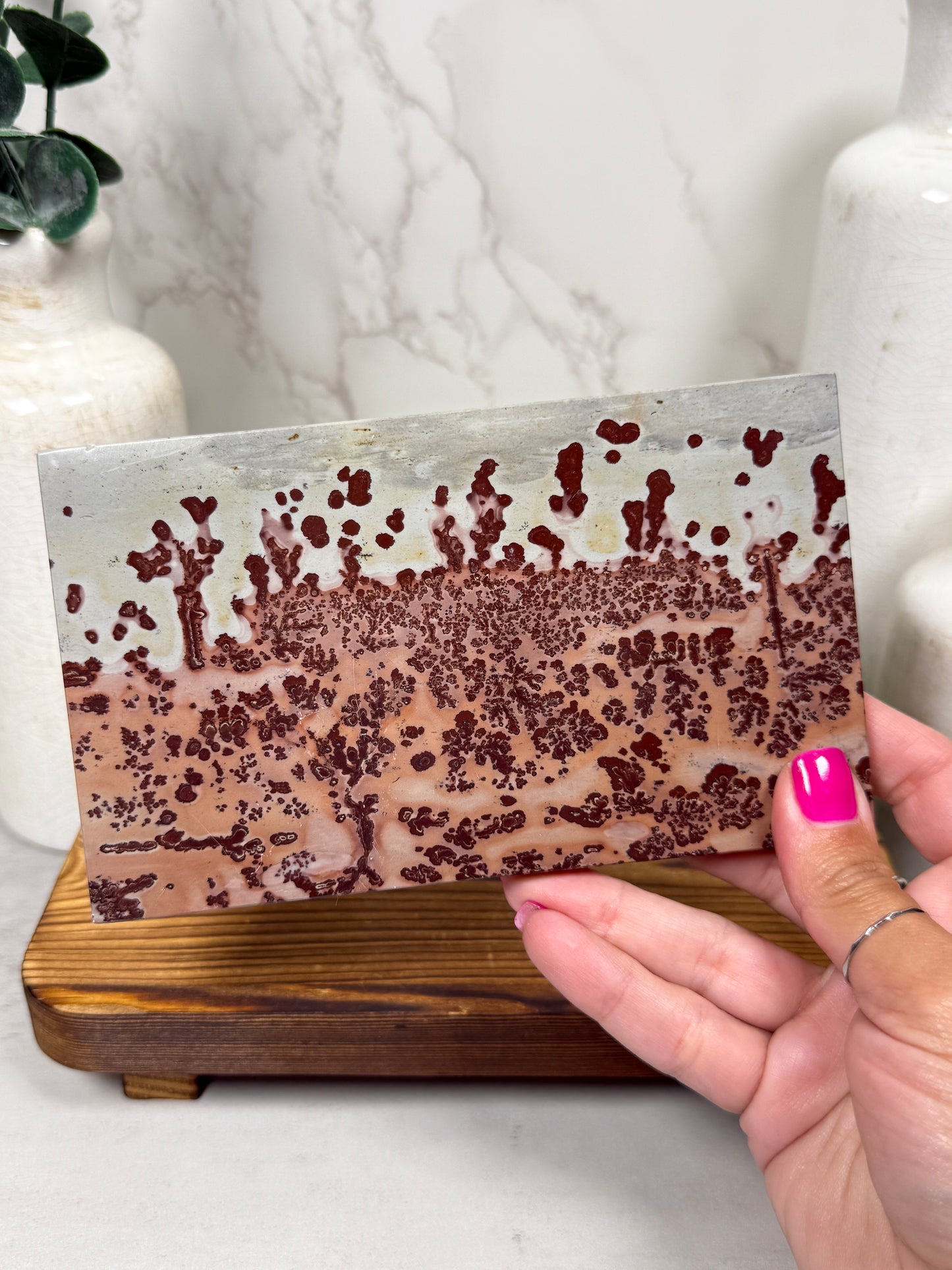 Pink Picture Jasper Slab