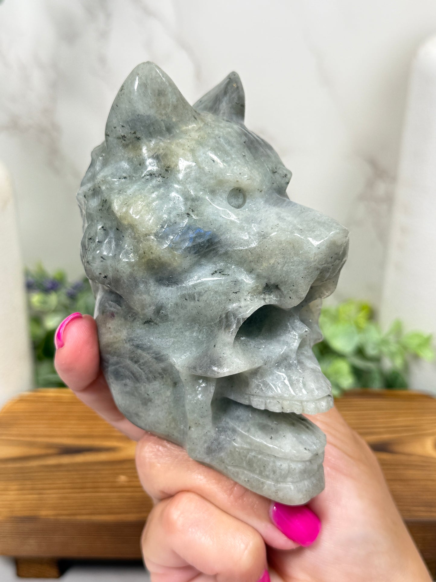 Wolf Skulls