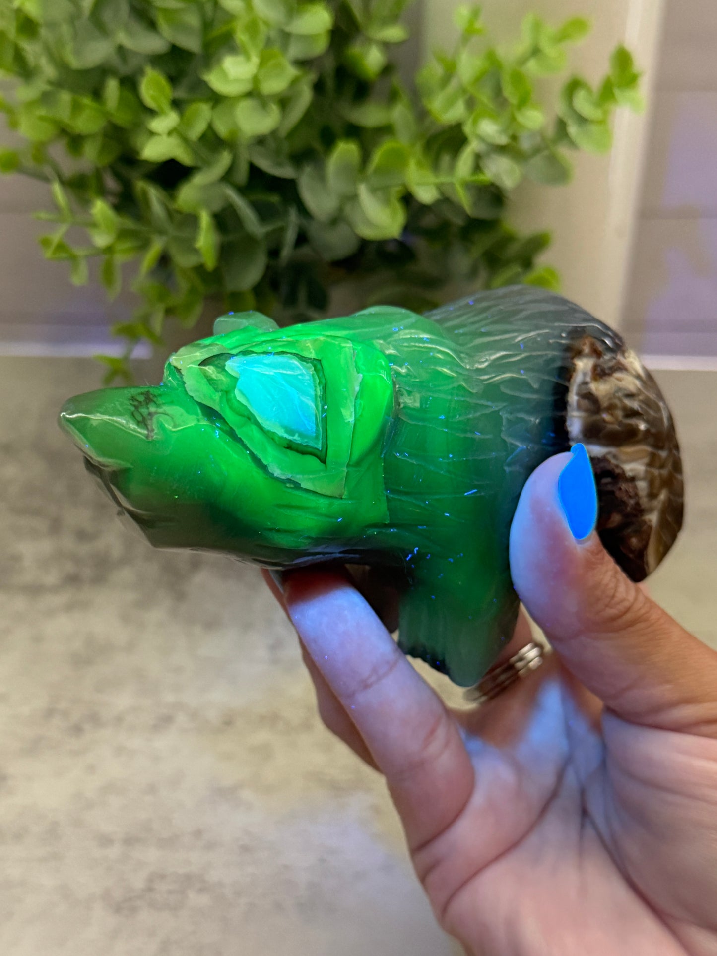 Volcano Agate Bears