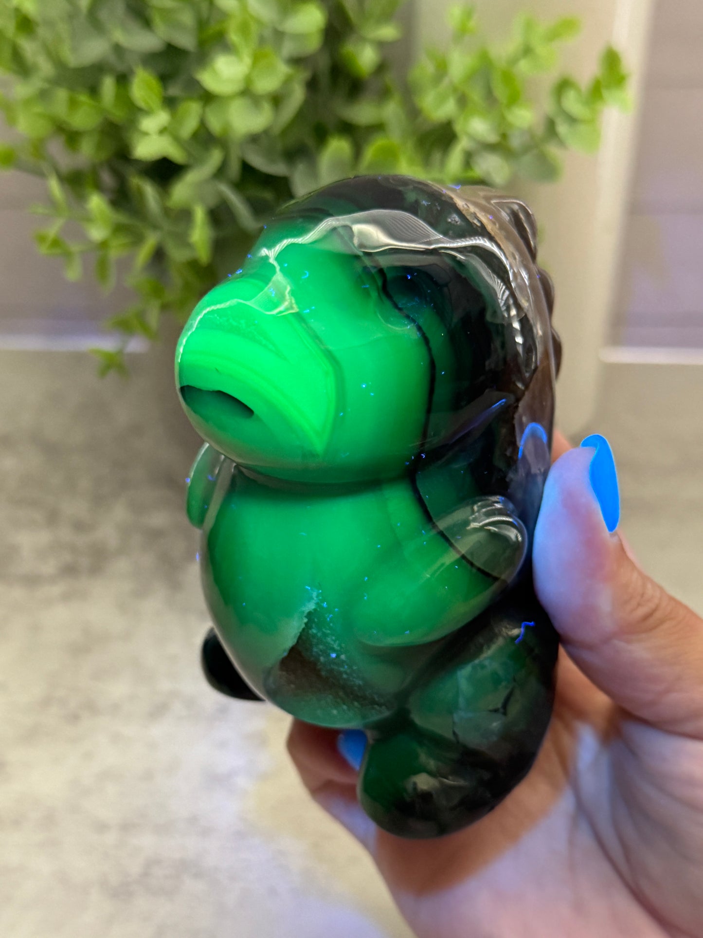 Volcano Agate Chubby Dinos