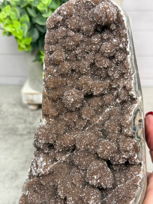 Chocolate Amethyst from Uruguay
