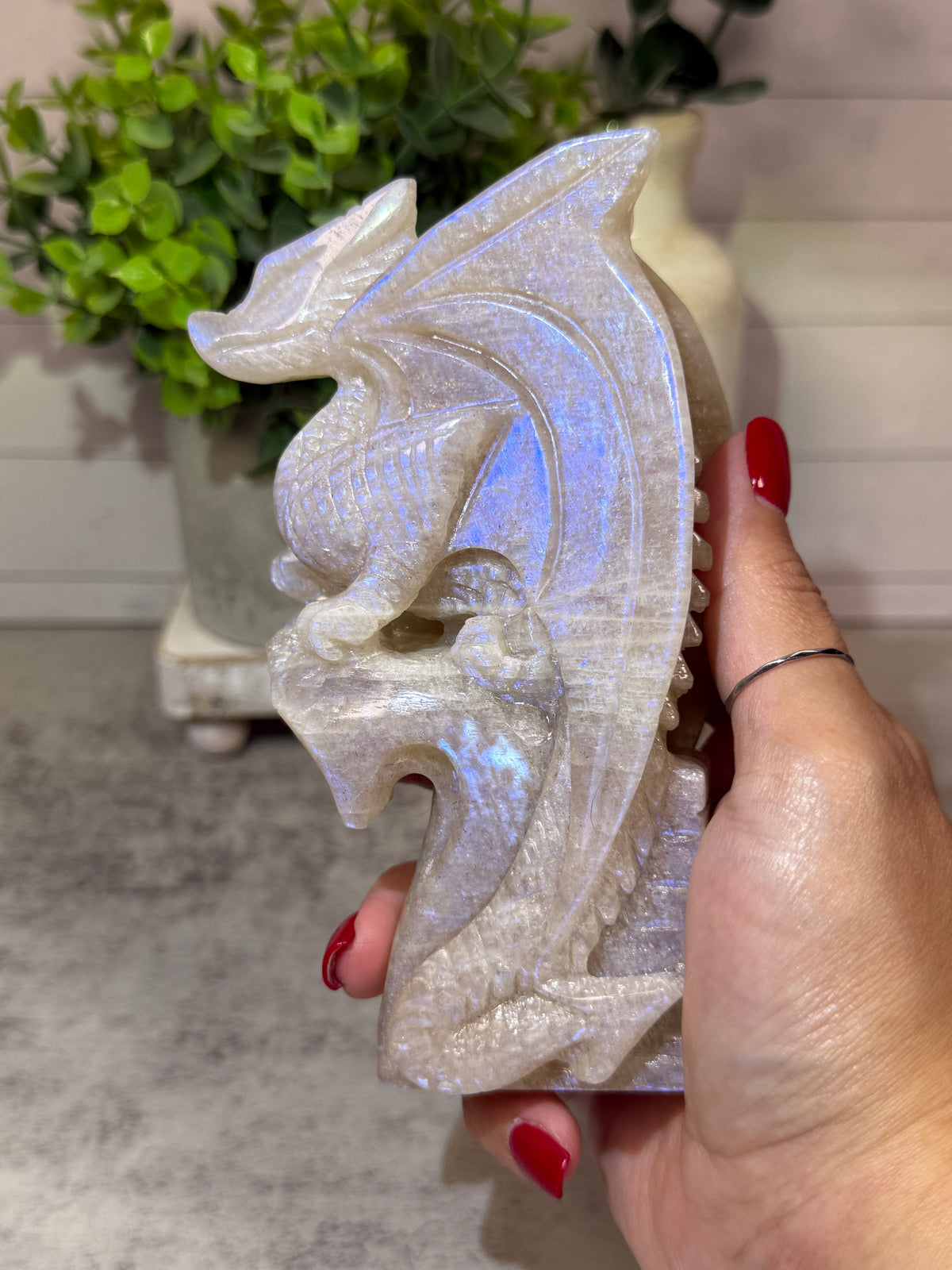 Blue Moonstone Dragons
