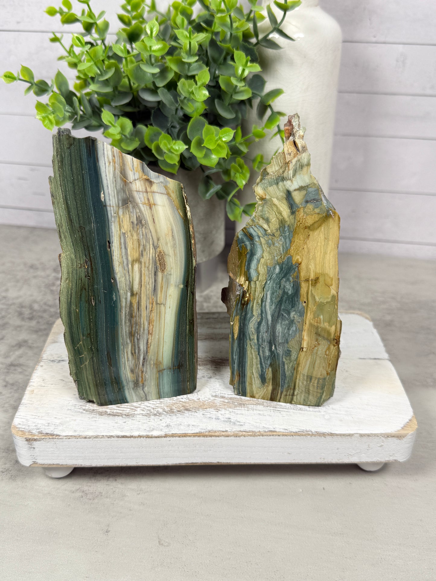 Swamp Bog Free Forms
