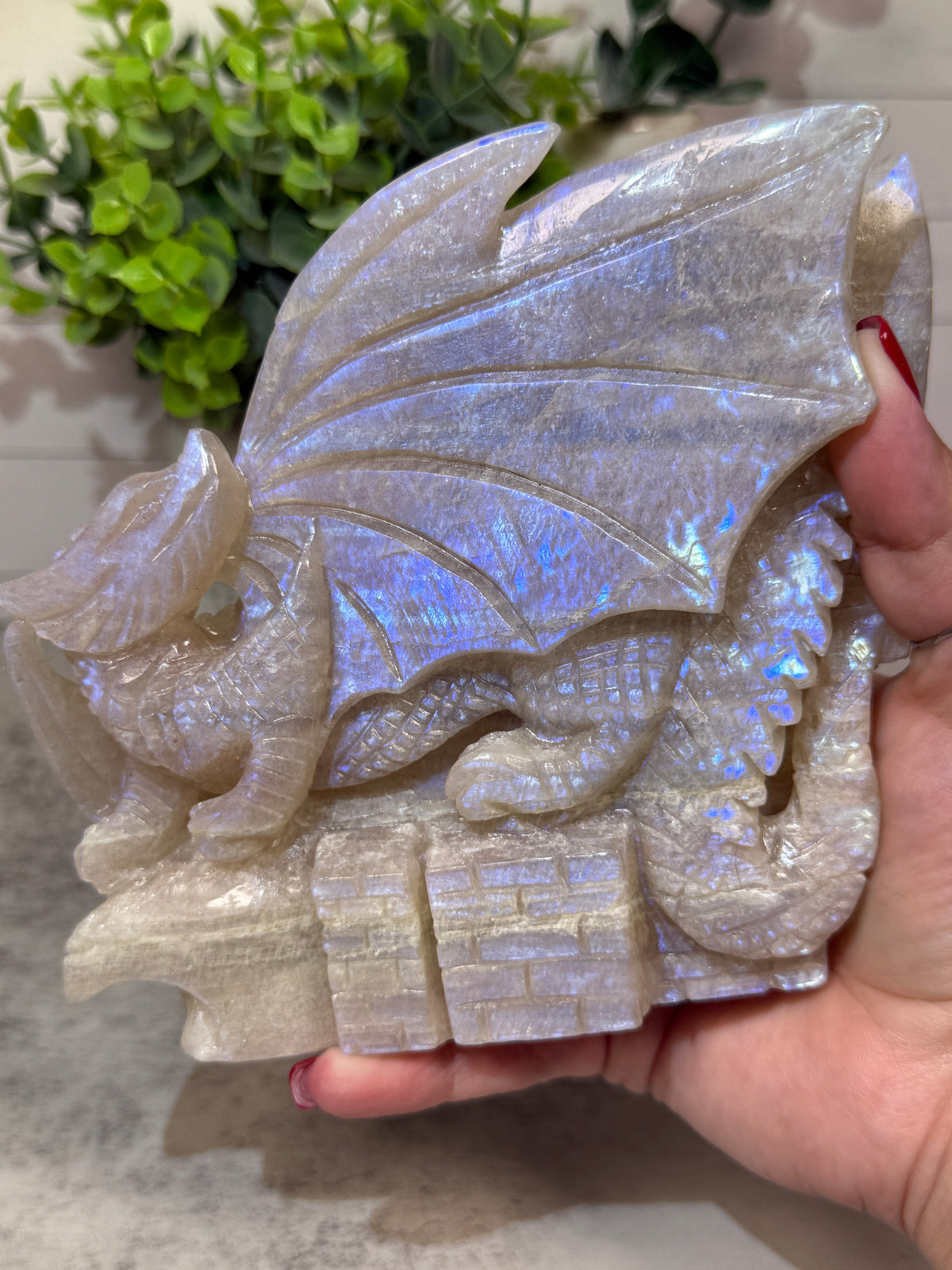 Blue Moonstone Dragons