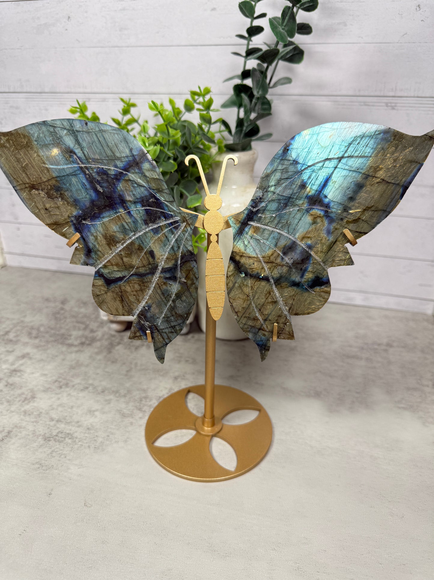 Labradorite Wings XL