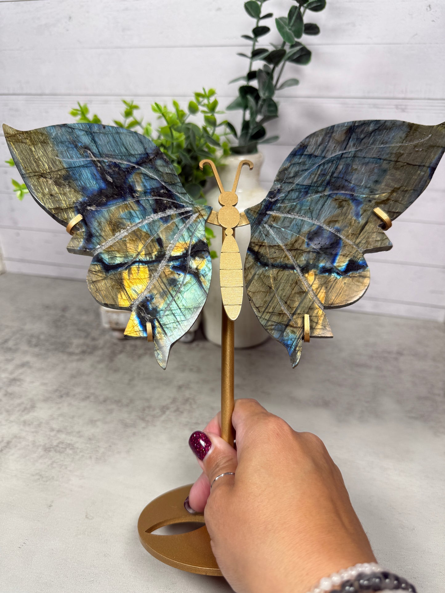 Labradorite Wings XL