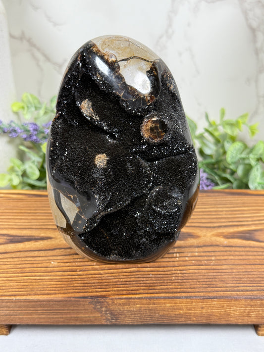 Septarian Free Form from Madagascar