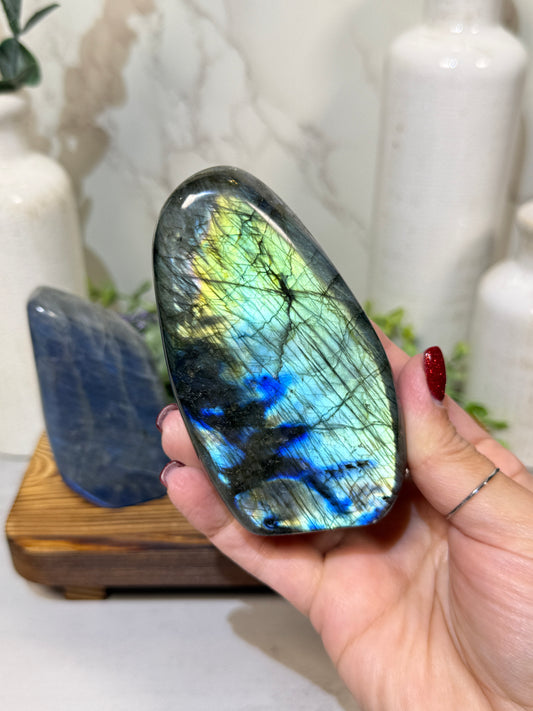 Labradorite Free Forms - D