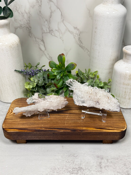 Lemurian Quartz from Columbia