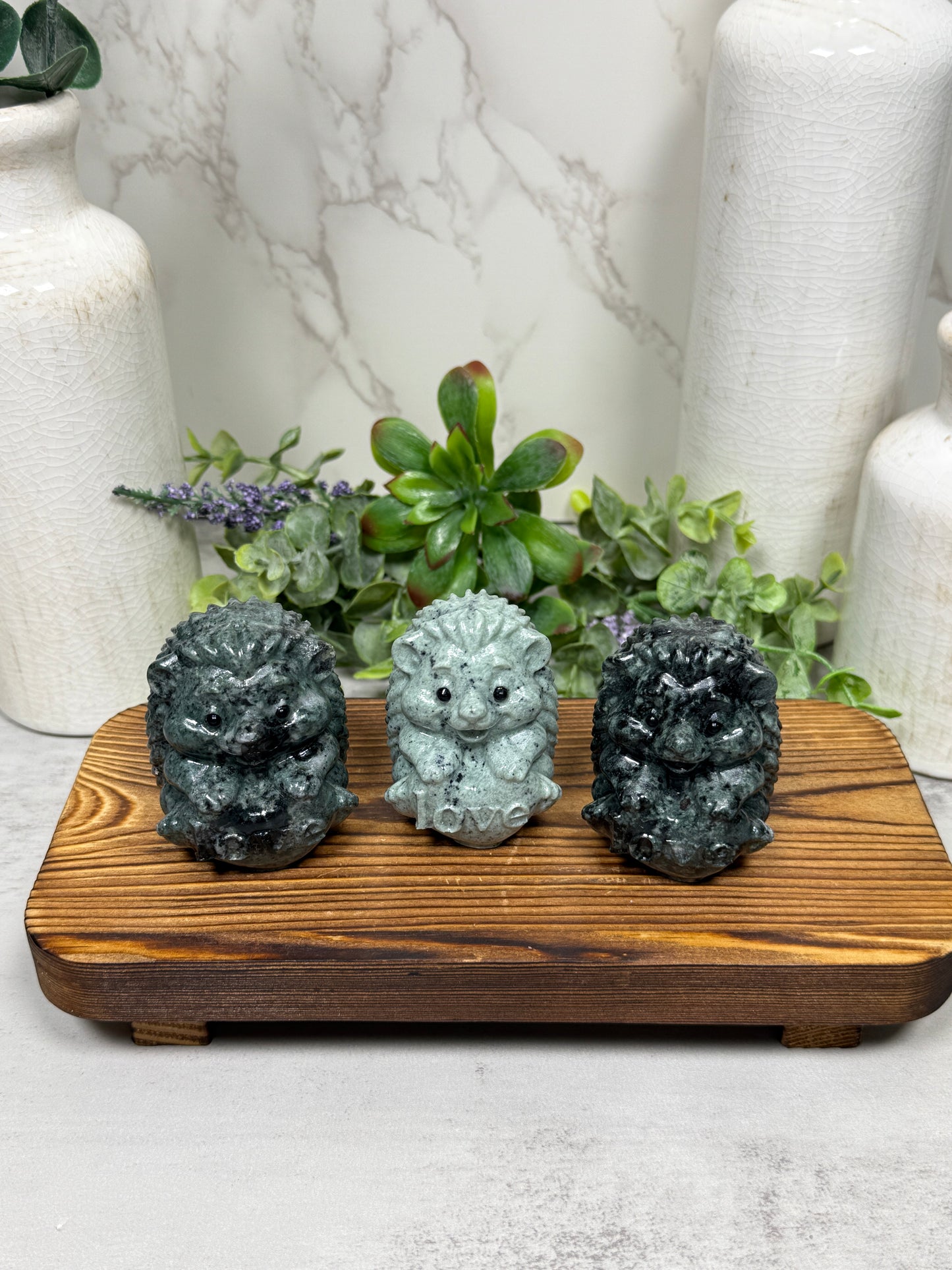 Jasper Love Hedgehogs