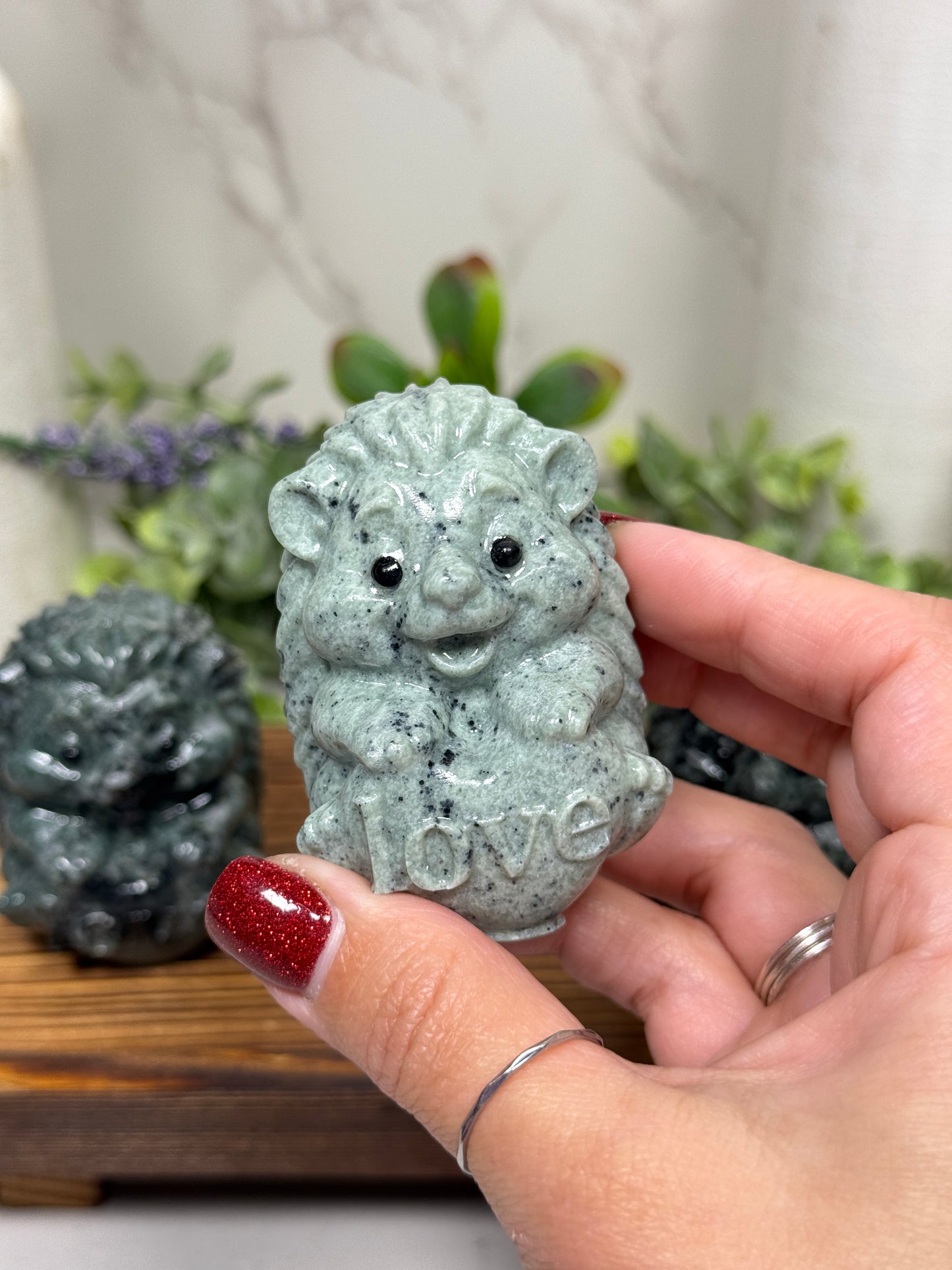 Jasper Love Hedgehogs