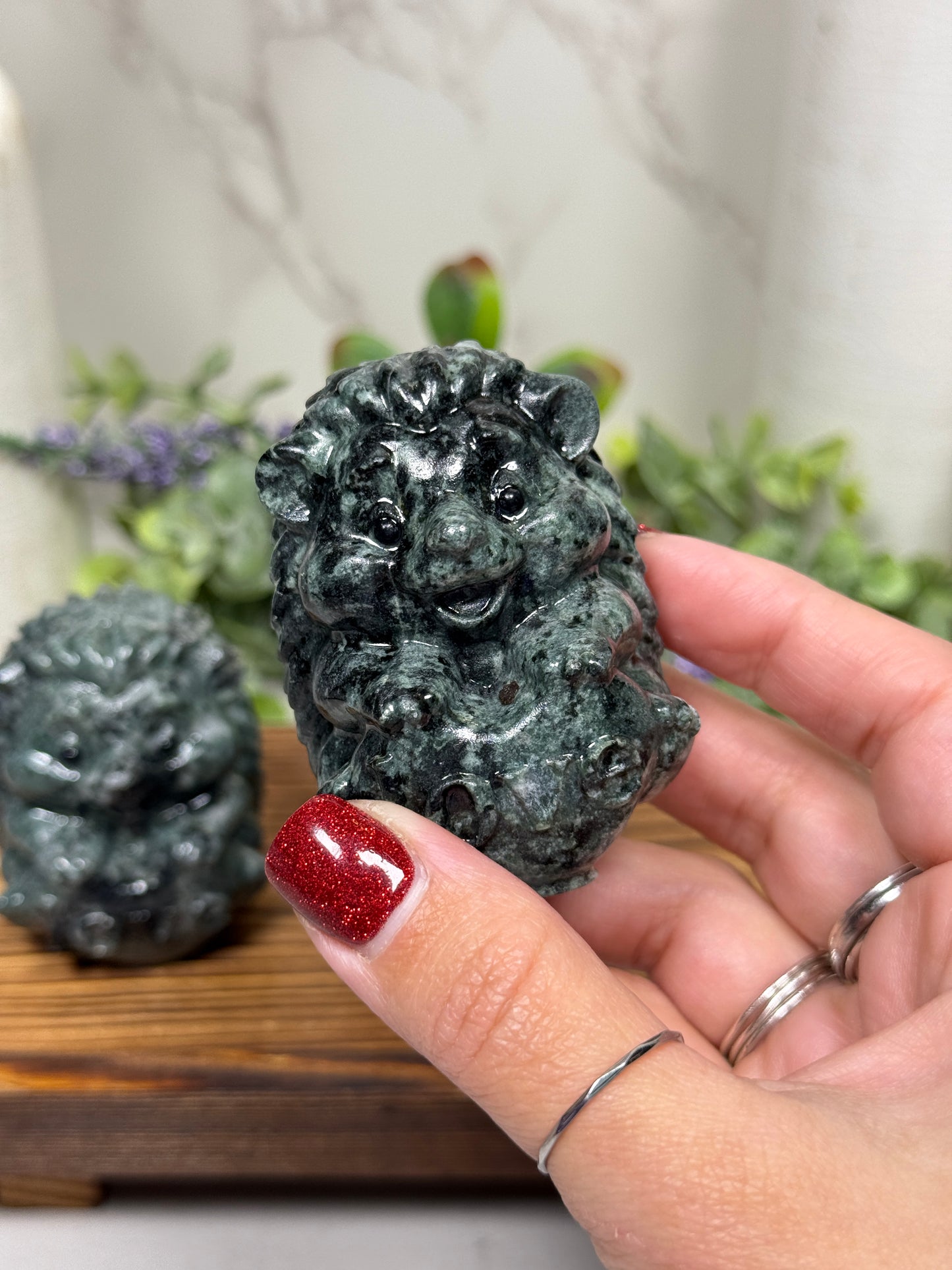 Jasper Love Hedgehogs