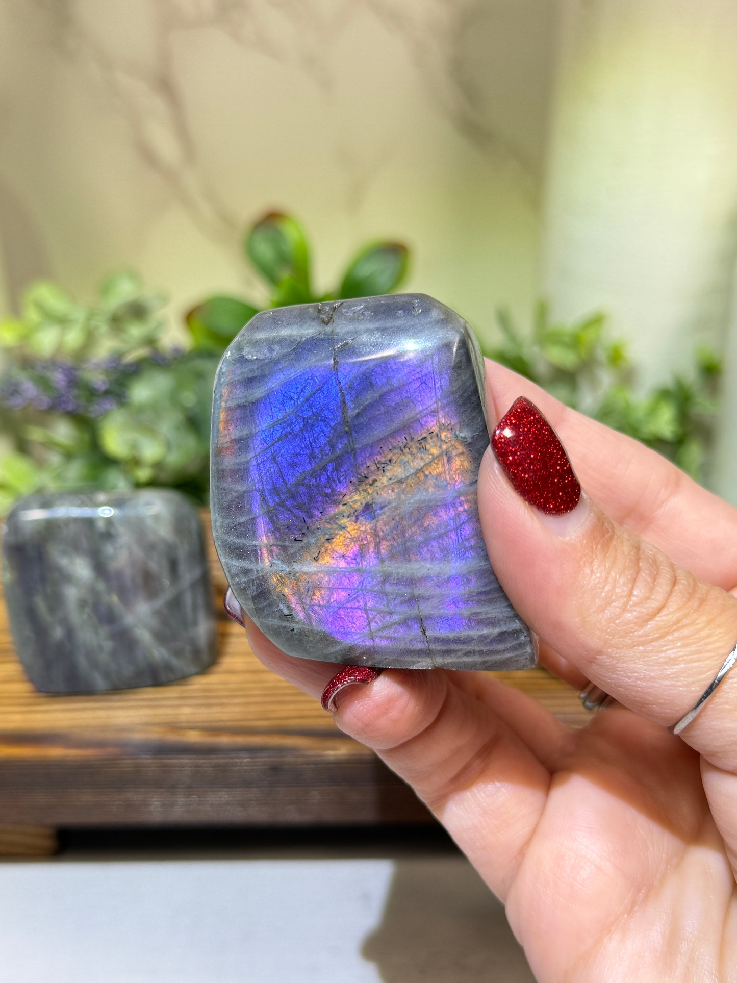 Labradorite Free Forms - Q