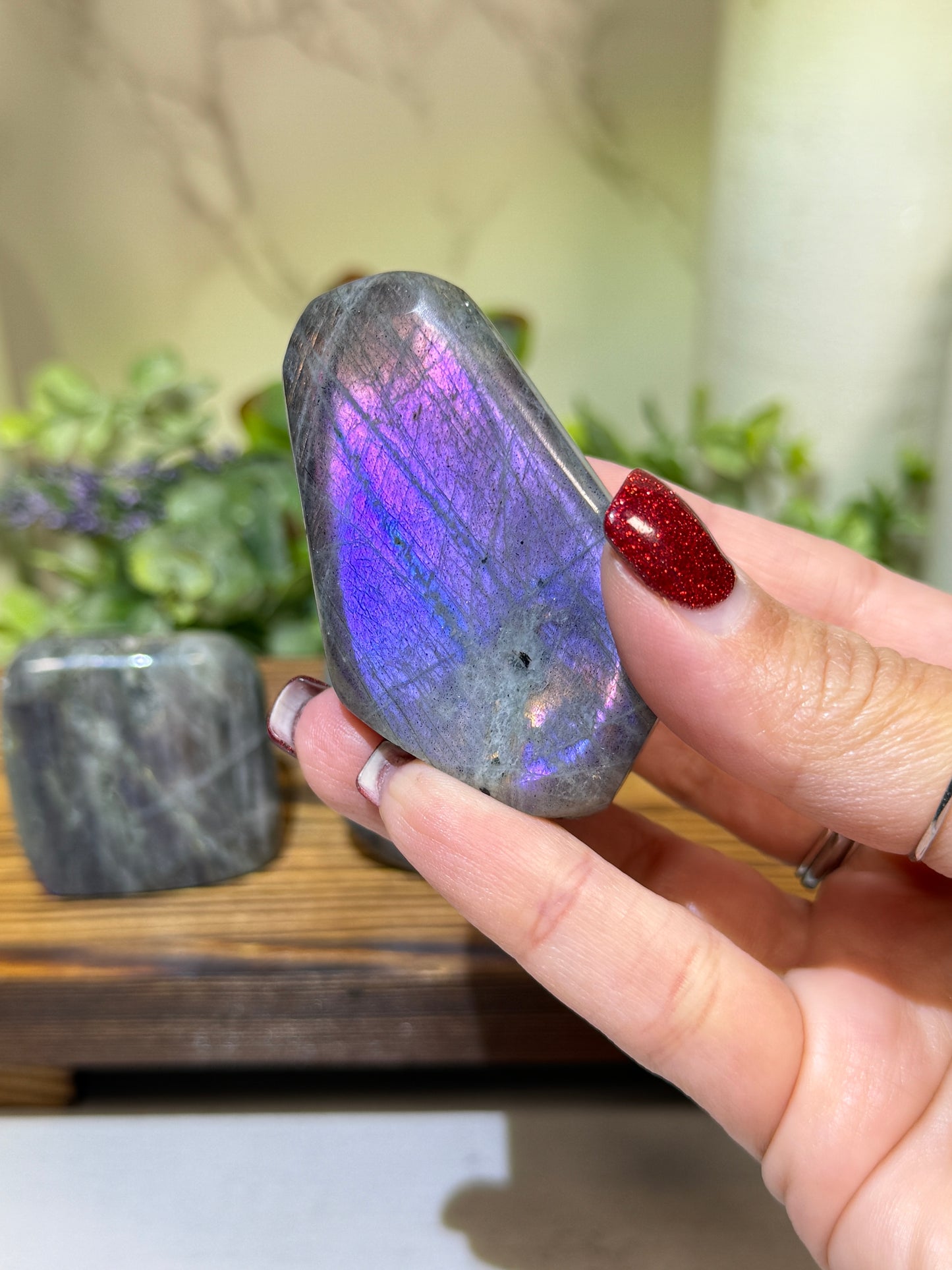 Labradorite Free Forms - Q