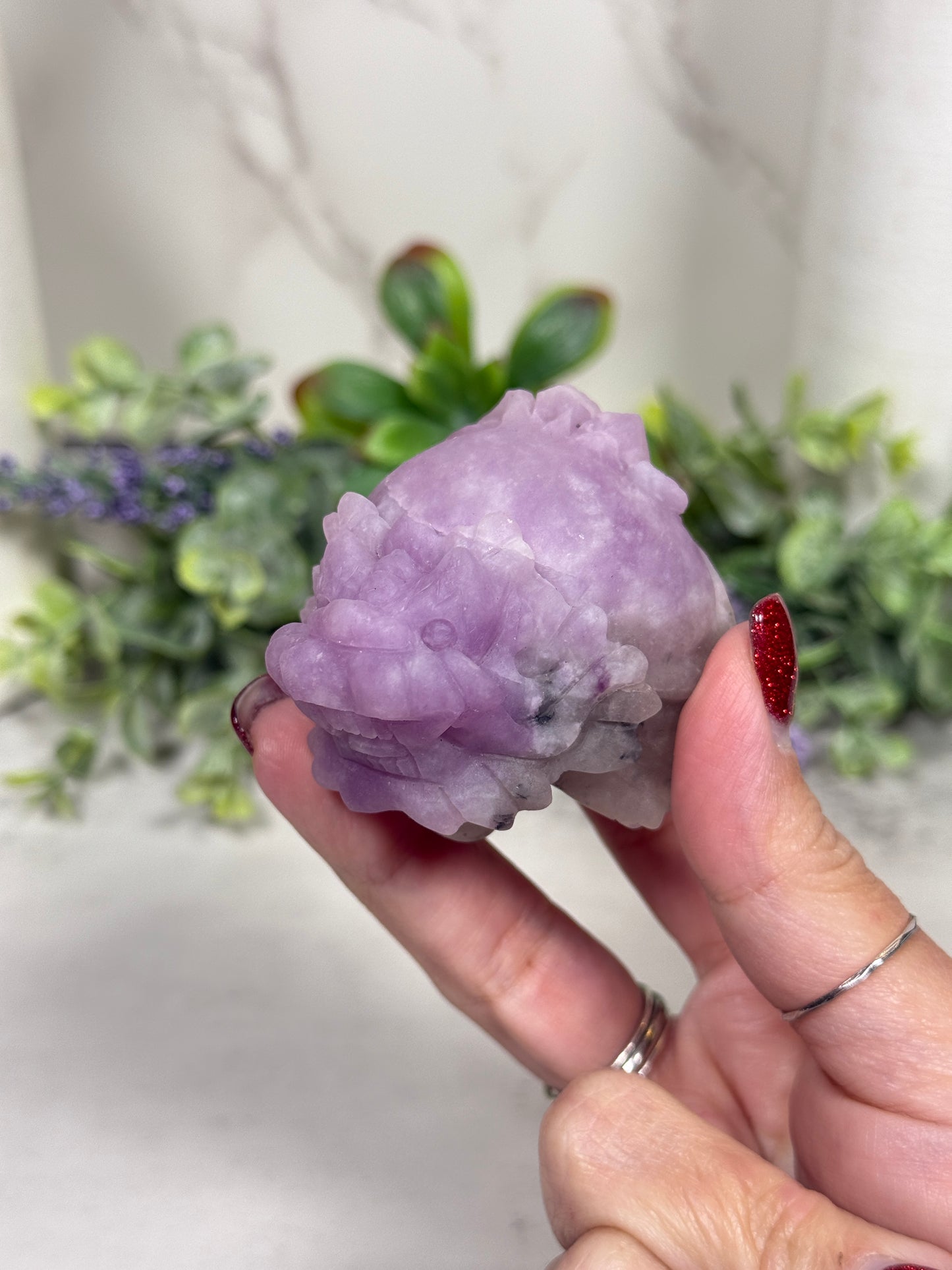 Dragon Turtle Carvings - You Pick