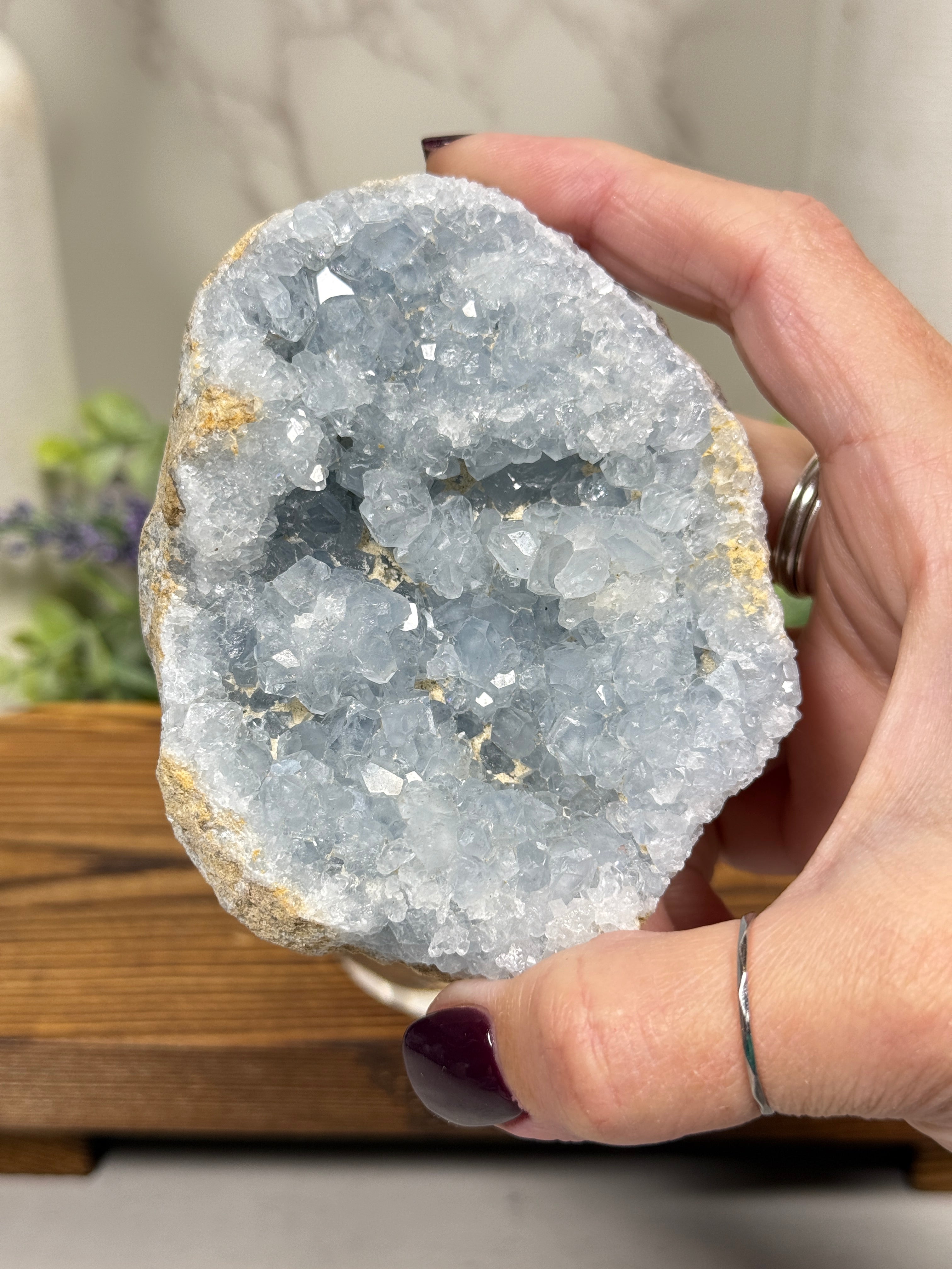 Celestite Geode - D – Stone Treasures Crystal Shop