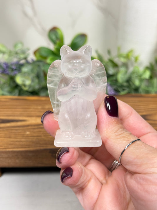 Angel Kitty - You Pick