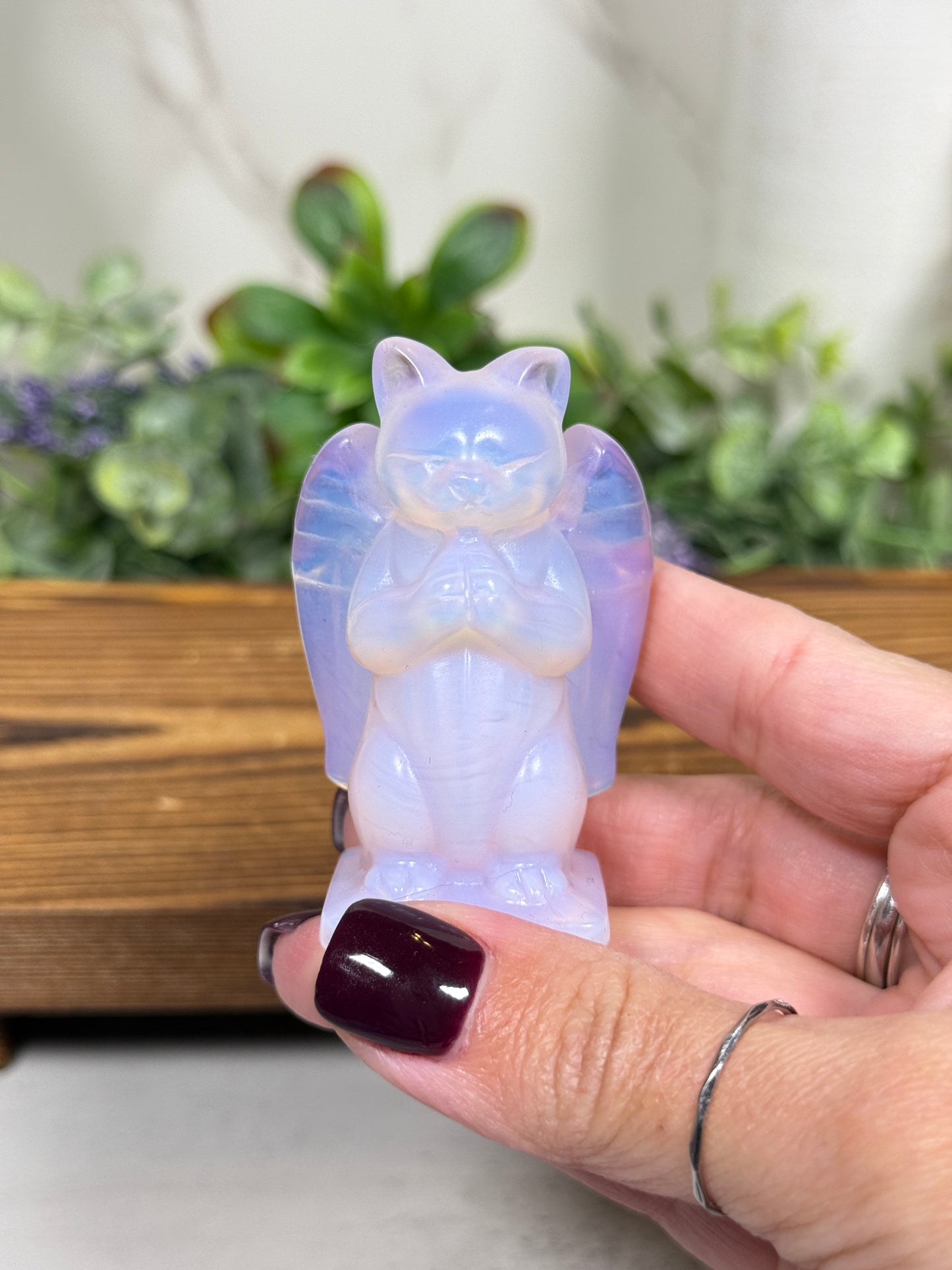 Angel Kitty - You Pick