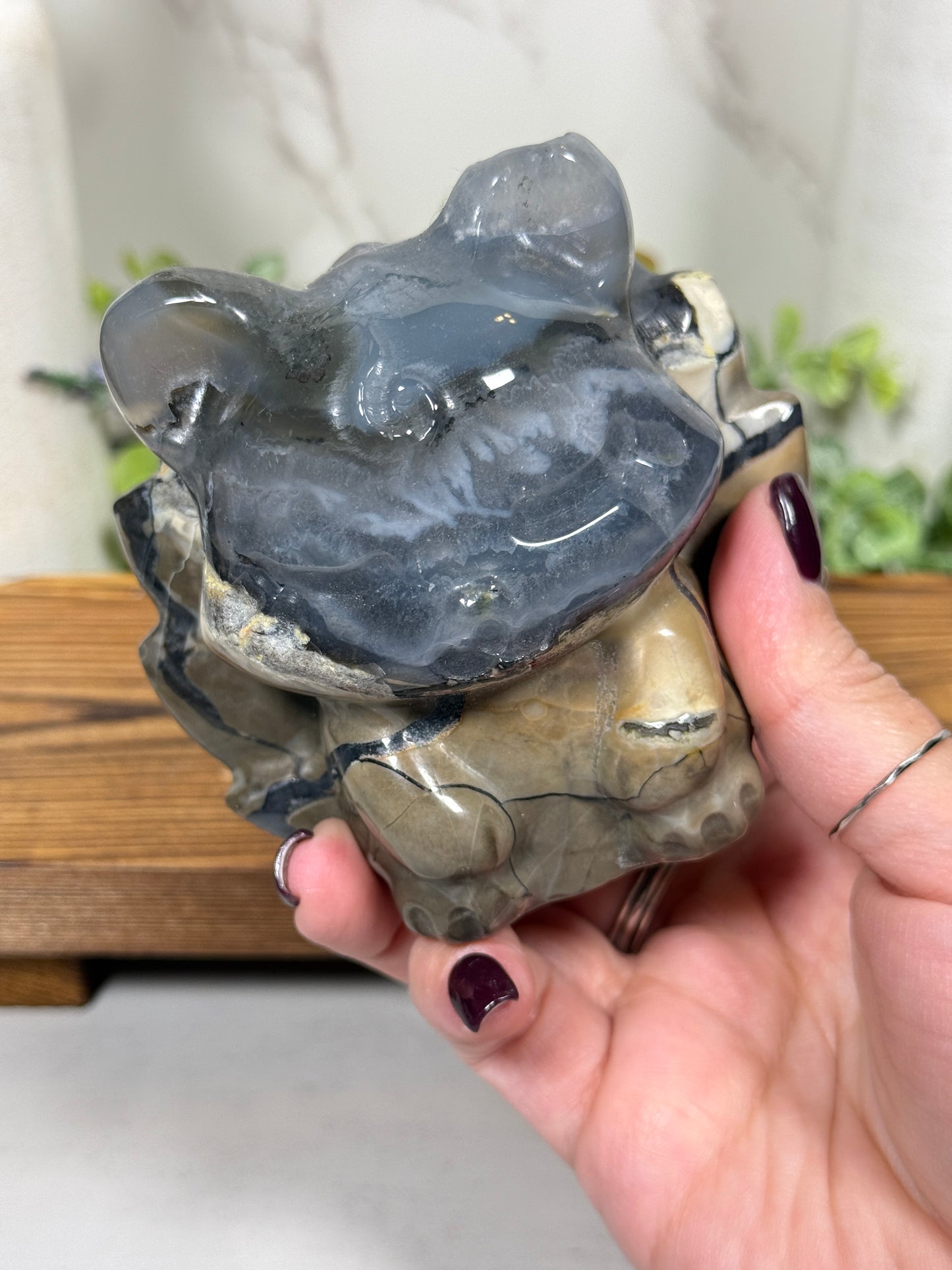 Volcano Agate 9 Tail Fox