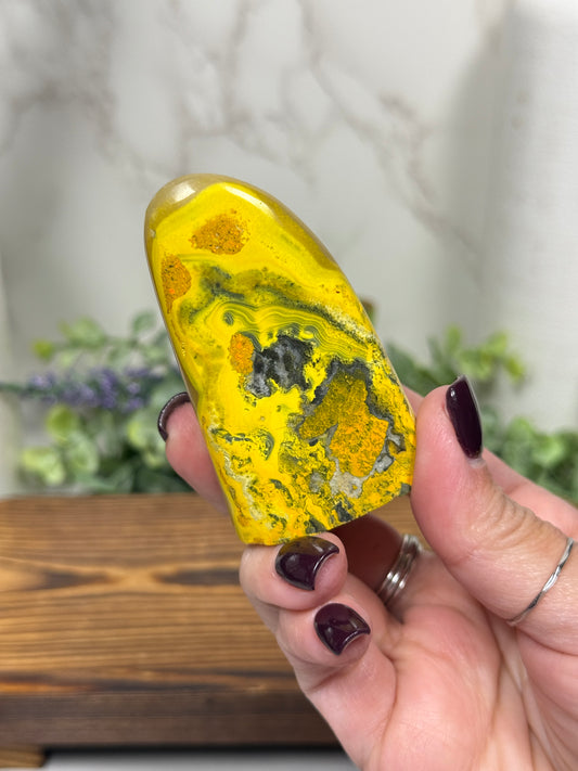 Bumble Bee Jasper Free Forms - You Pick