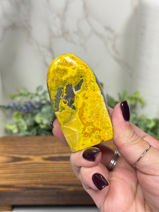 Bumble Bee Jasper Free Forms - You Pick