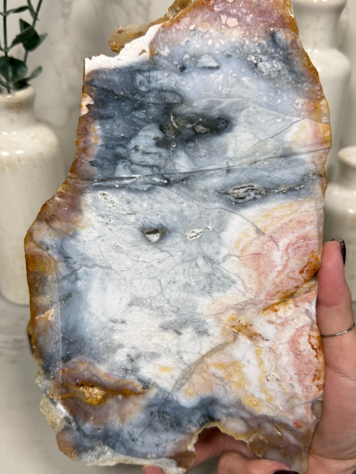 Pink & Blue Petrified Wood Slab