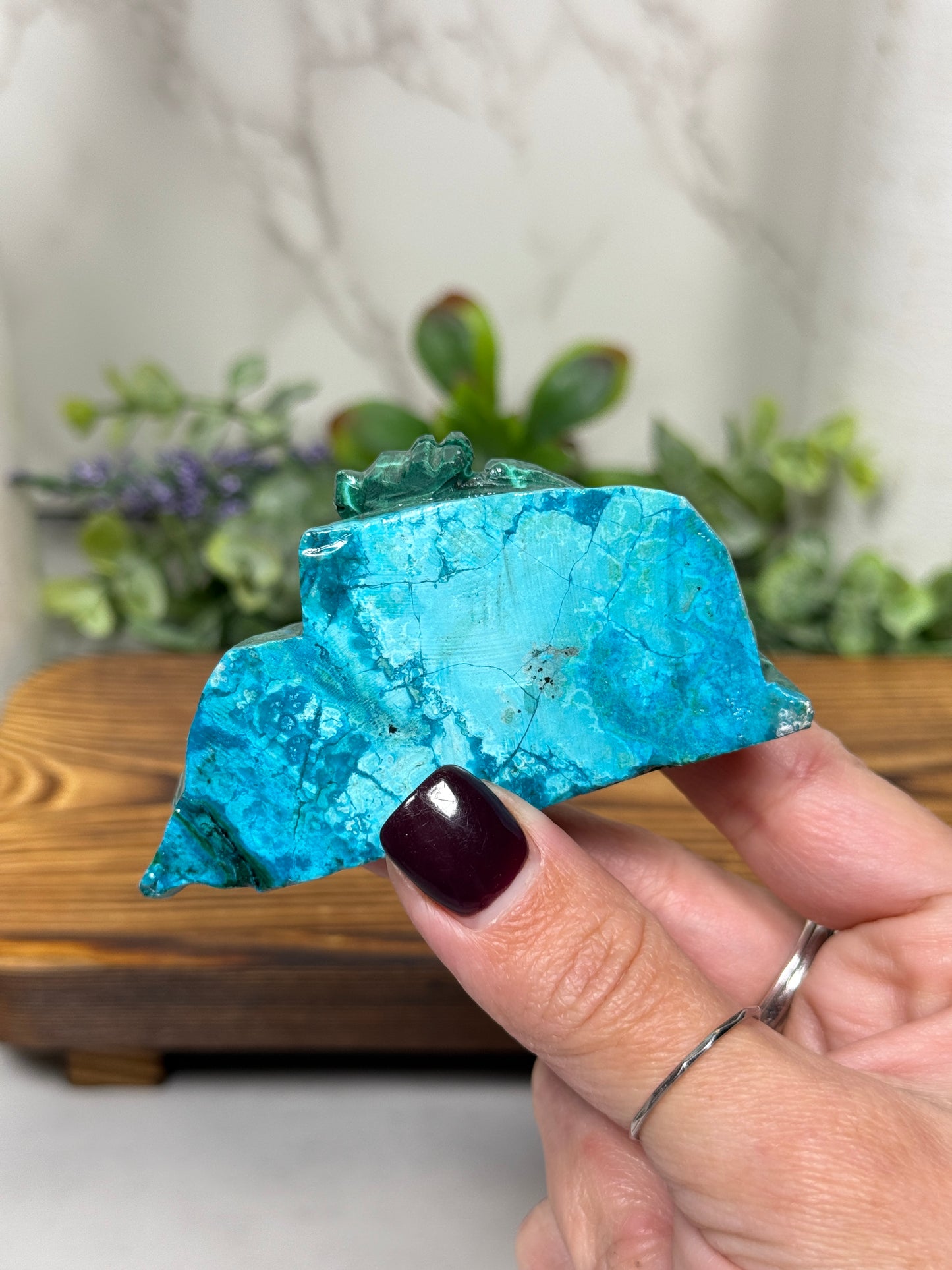 Malachite Chrysocolla Dragons