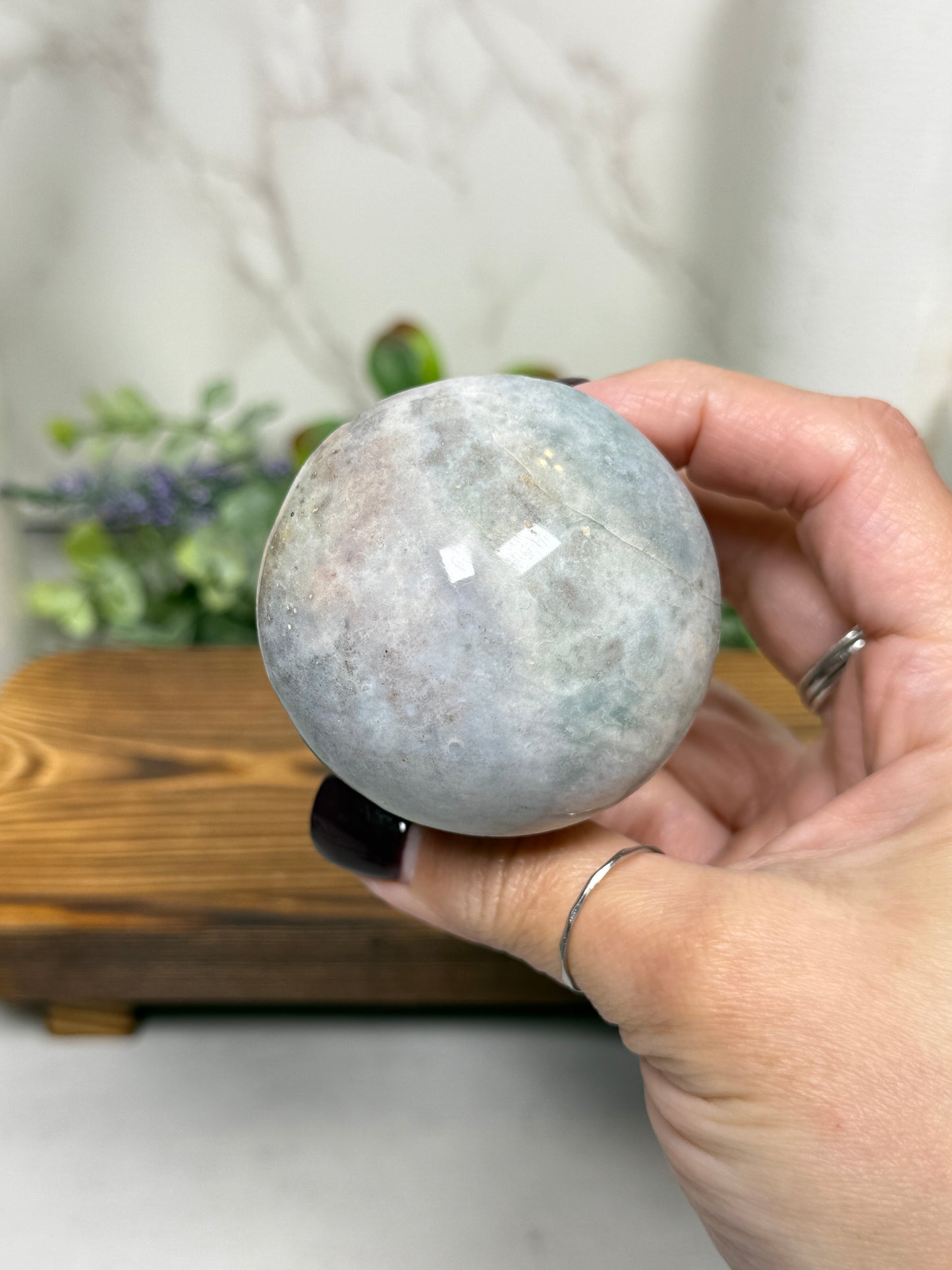 Ocean Jasper Mushrooms