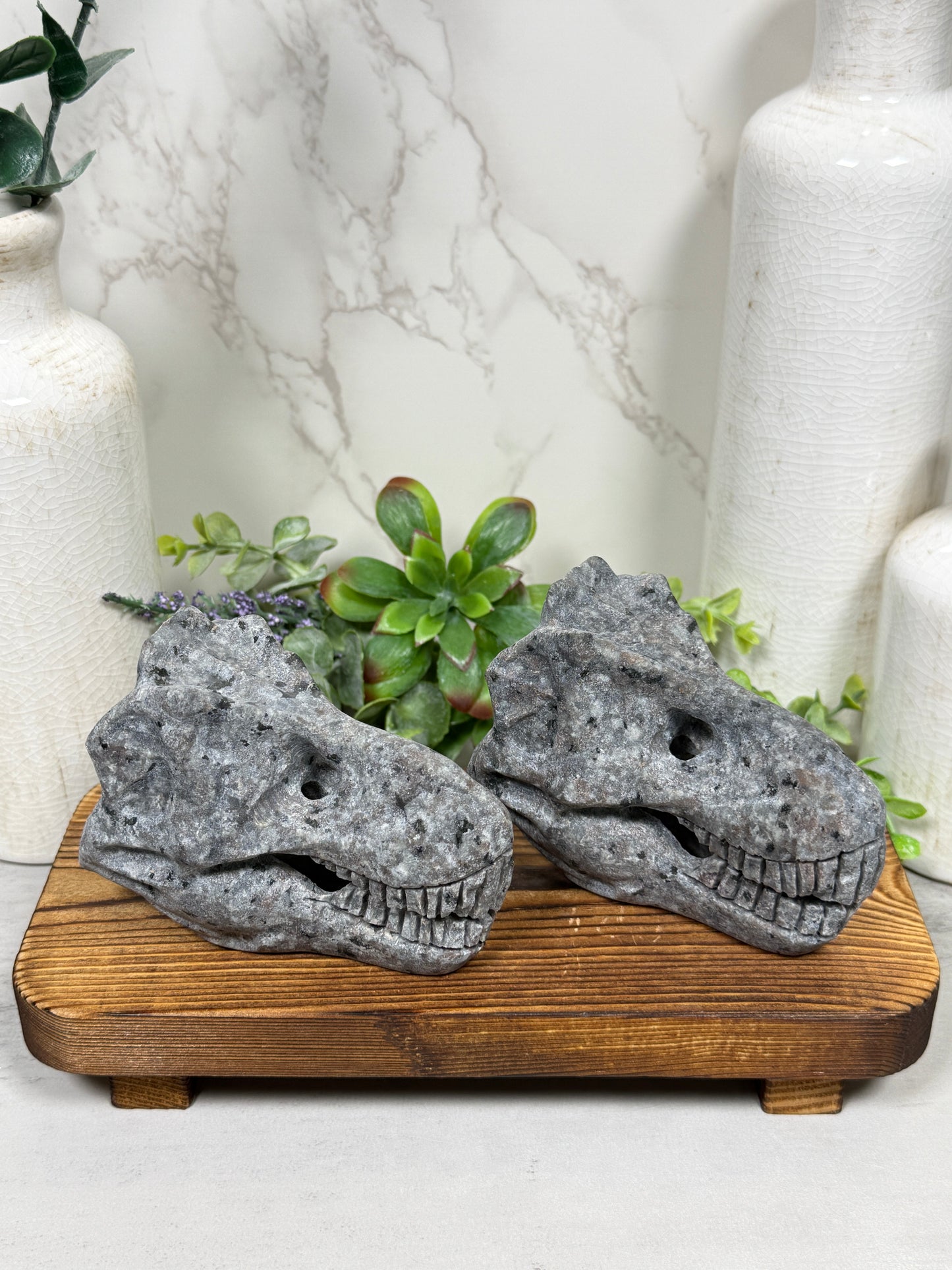 Yooperlite Dinosaur Heads