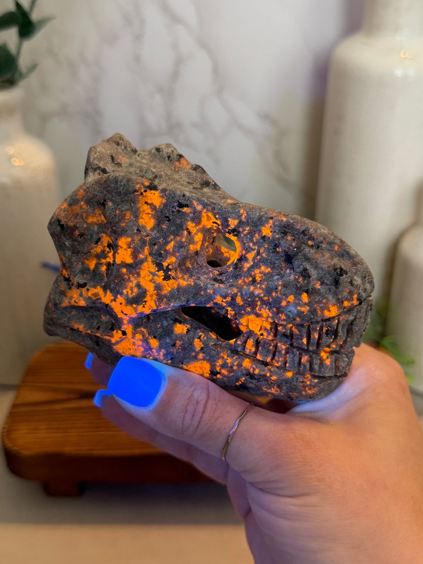 Yooperlite Dinosaur Heads