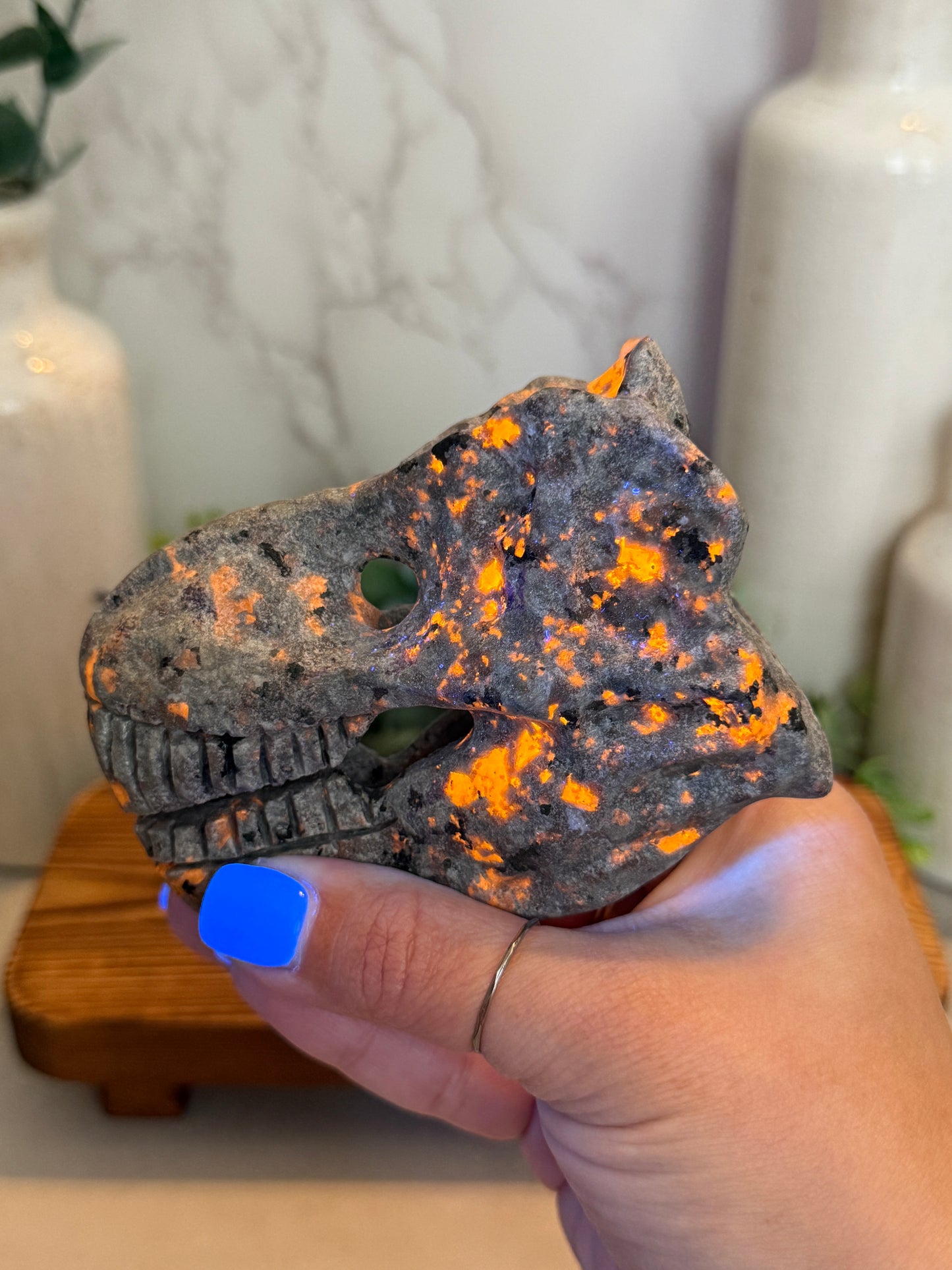 Yooperlite Dinosaur Heads