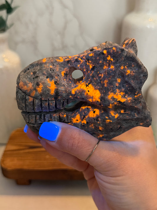 Yooperlite Dinosaur Heads