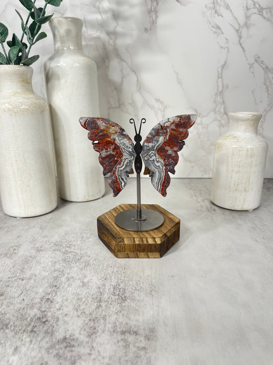Mexican Crazy Lace Wings